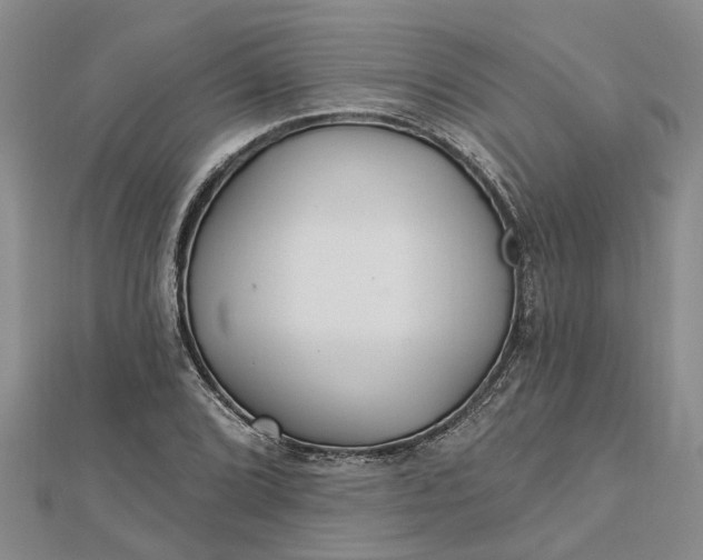 X0000112461072200908311325