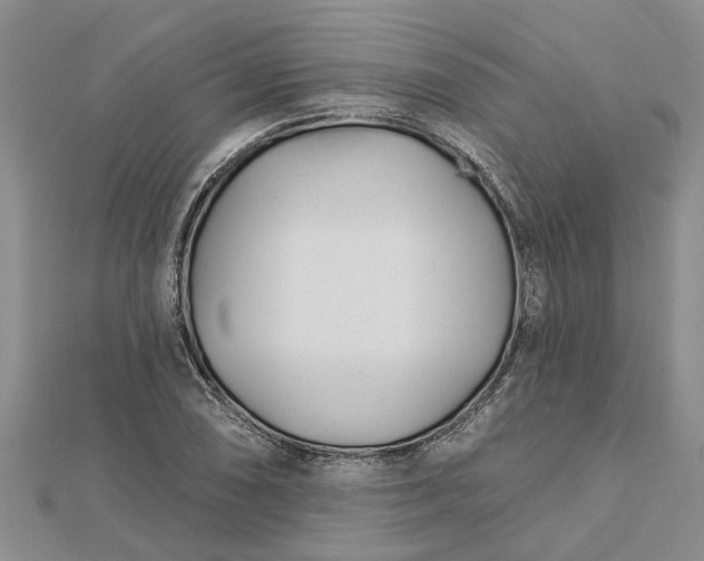 X0000112461074200908311325