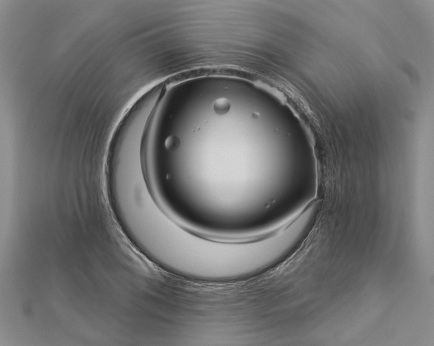 X0000112461076200908311324