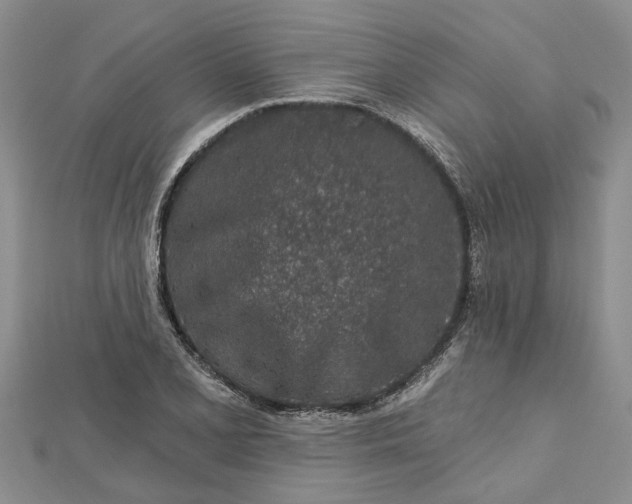 X0000112461077200908311324