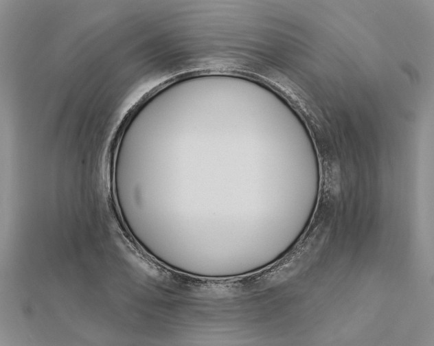 X0000112461078200908311324