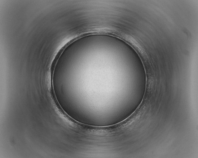 X0000112461079200908311324