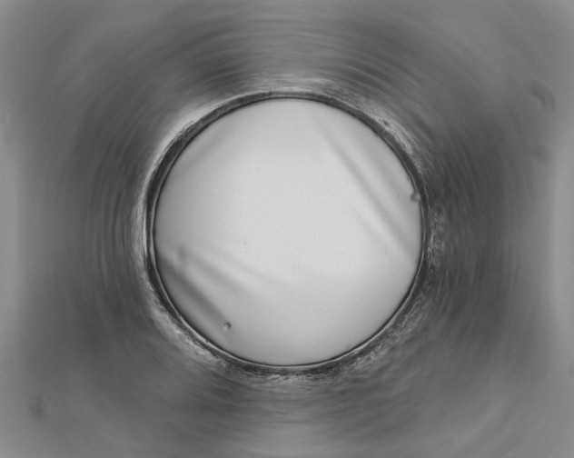 X0000112461080200908311324