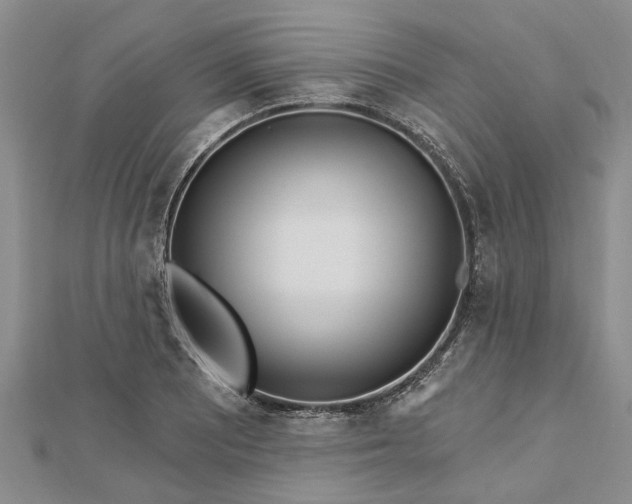 X0000112461081200908311324