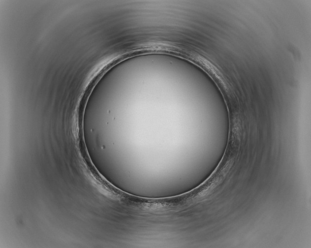 X0000112461082200908311324