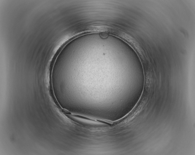 X0000112461083200908311324