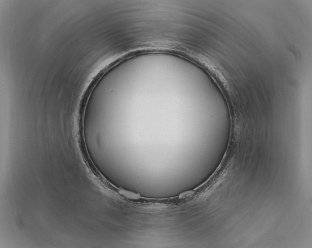 X0000112461085200908311324