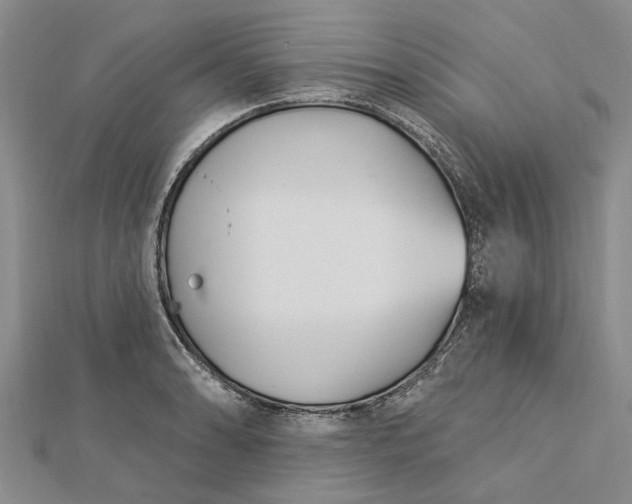 X0000112461086200908311324