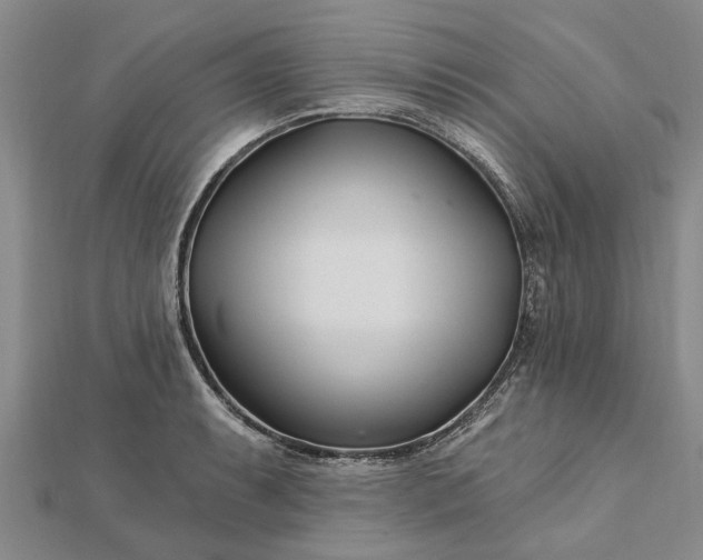 X0000112461087200908311324