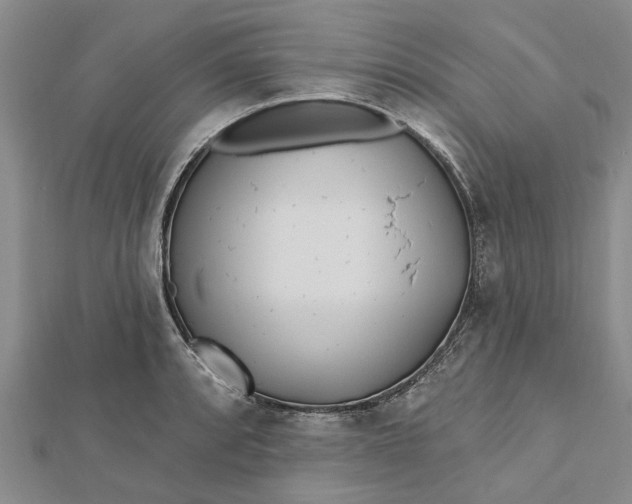 X0000112461088200908311324