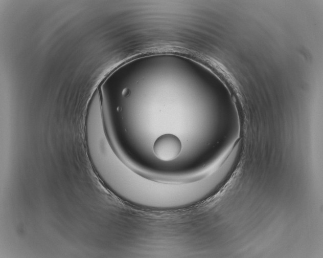 X0000112461089200908311324