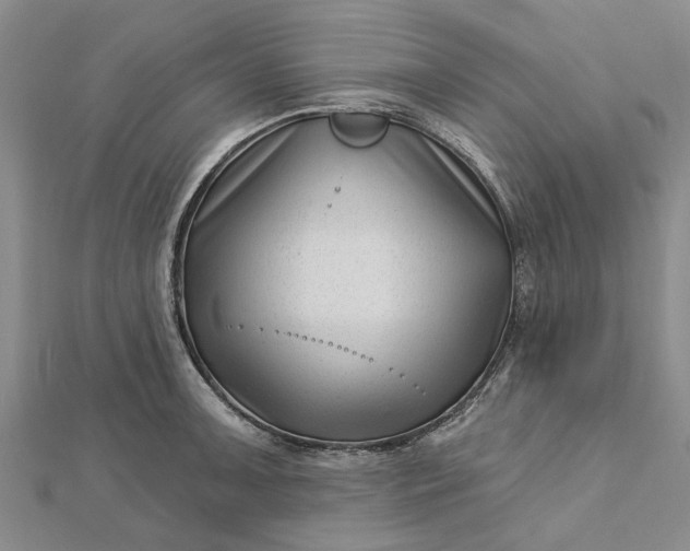 X0000112461091200908311324