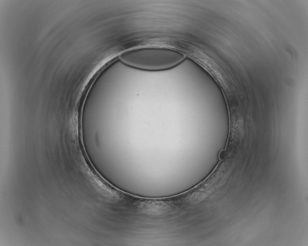 X0000112461092200908311324