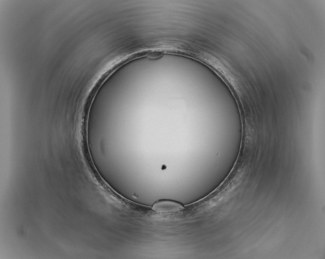 X0000112461093200908311324