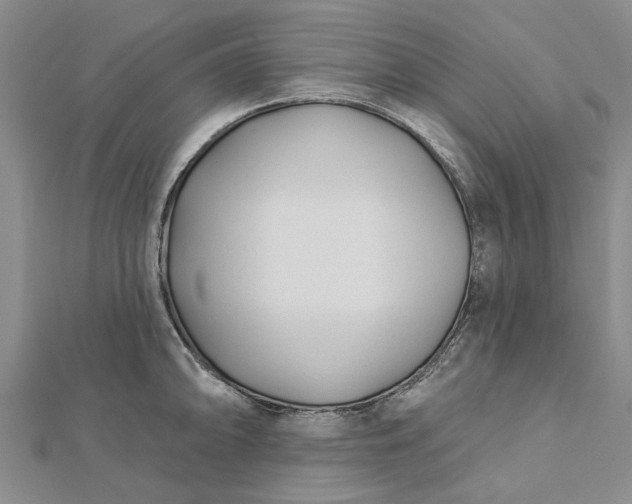 X0000112461094200908311324