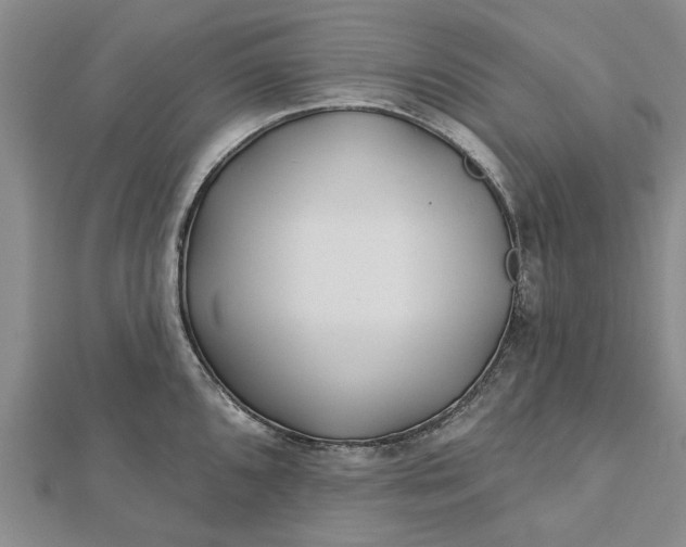 X0000112461096200908311324