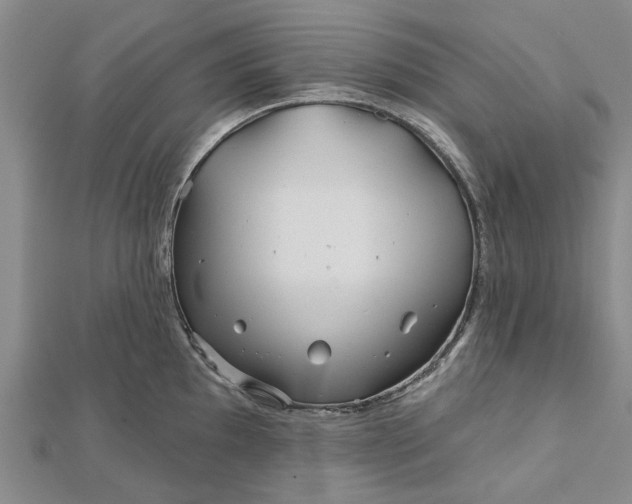 X0000112461097200908311324