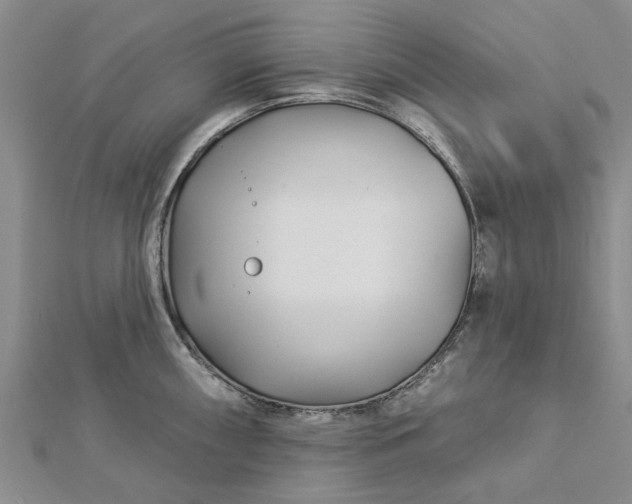 X0000112461098200908311324