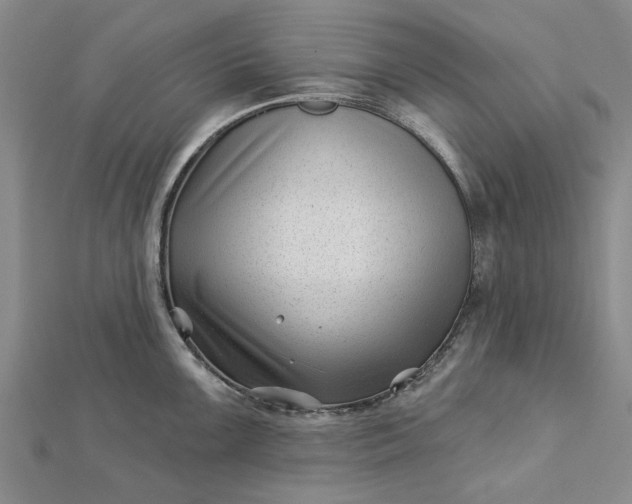 X0000112461099200908311324