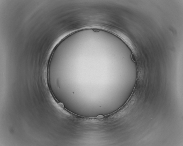 X0000112461100200908311324