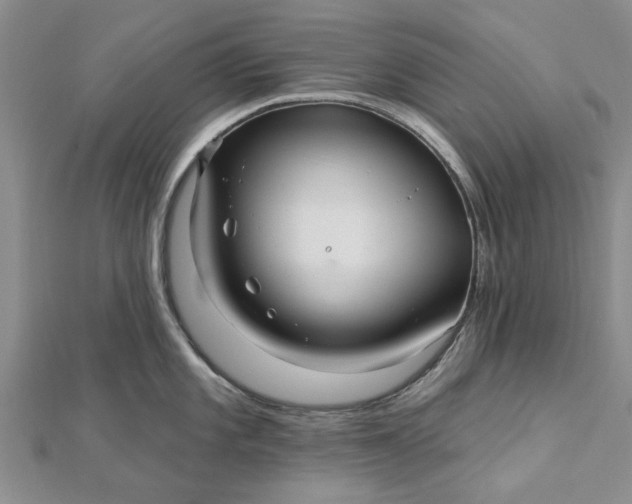 X0000112461101200908311324