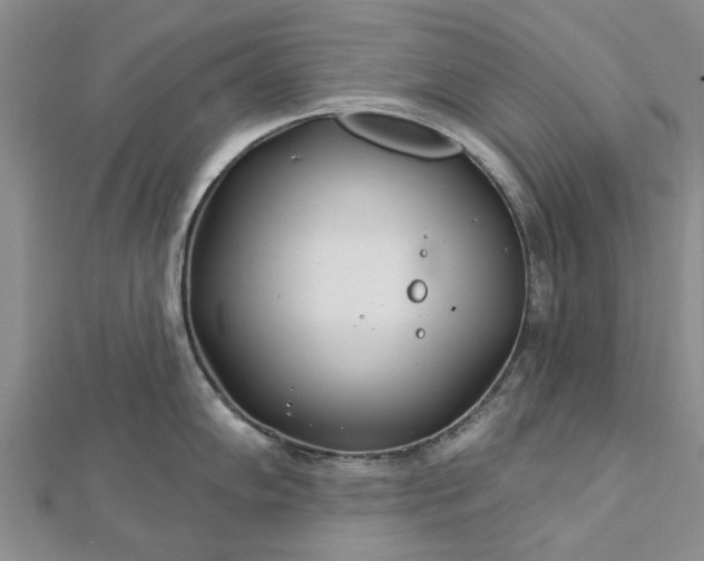 X0000112461102200908311324