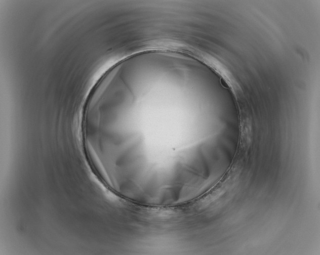 X0000112461103200908311324