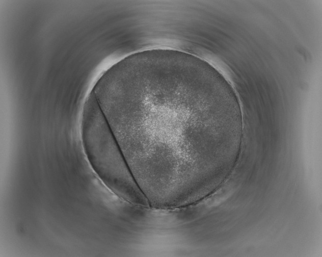 X0000112461104200908311324