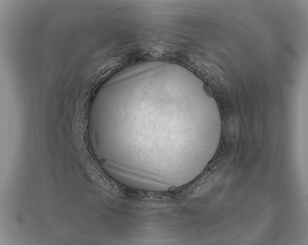 X0000112461105200908311323