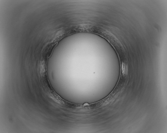 X0000112461107200908311324