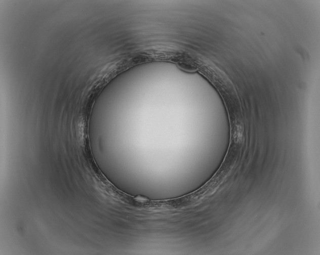 X0000112461108200908311324