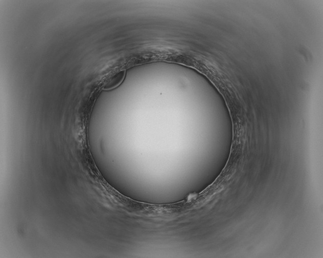 X0000112461109200908311324