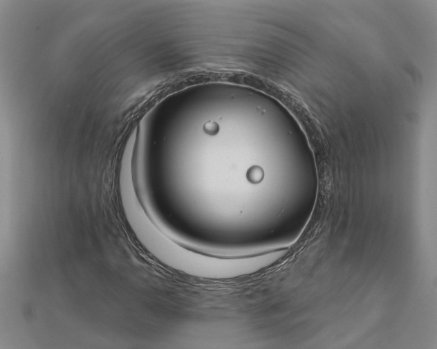 X0000112461110200908311324