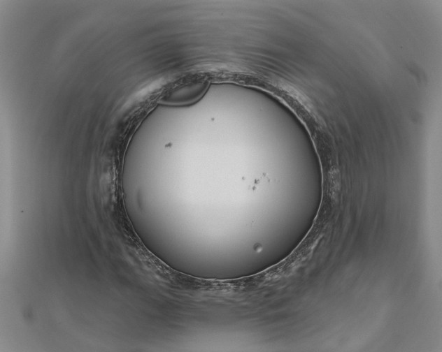 X0000112461111200908311324