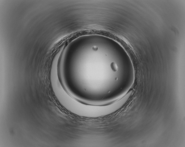 X0000112461112200908311324