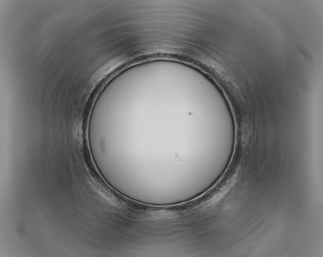 X0000112461113200908311324