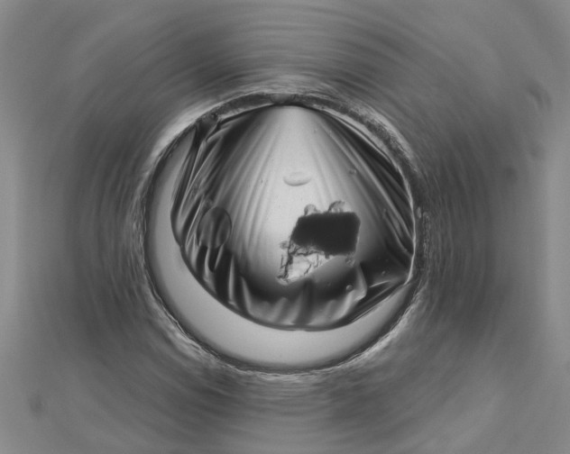 X0000112461114200908311324