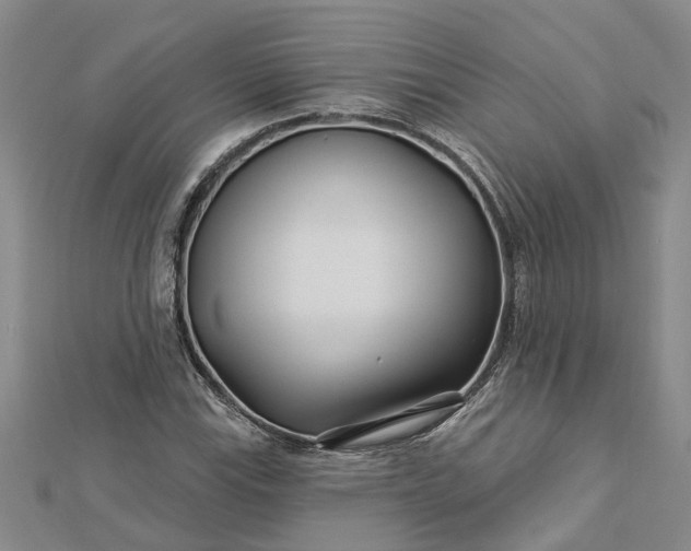 X0000112461115200908311324