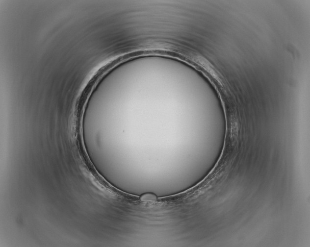 X0000112461116200908311324