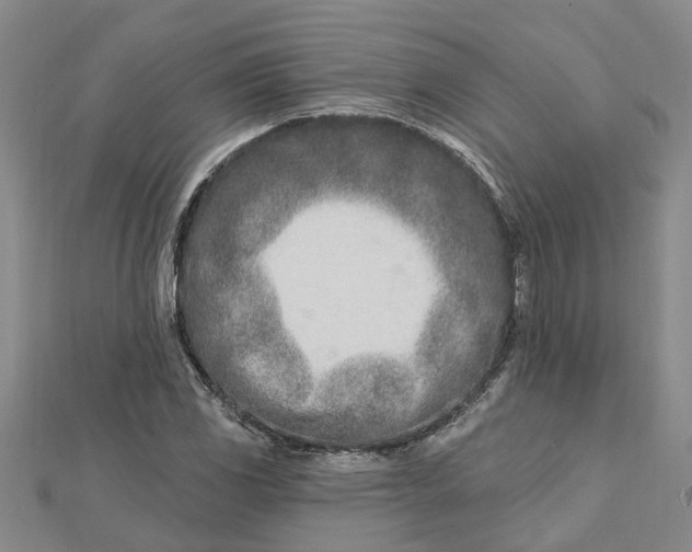 X0000112461117200908311324