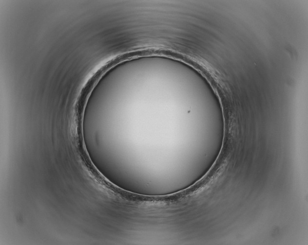 X0000112461118200908311324