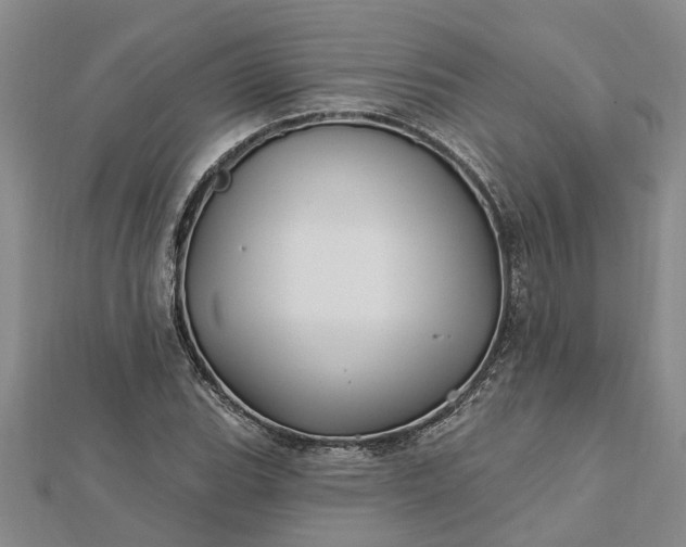 X0000112461119200908311324