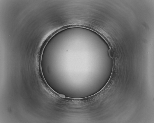 X0000112461120200908311324