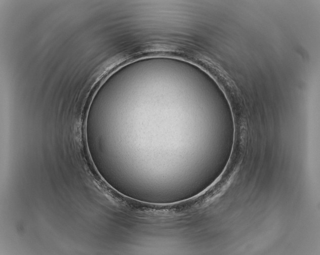 X0000112461121200908311324