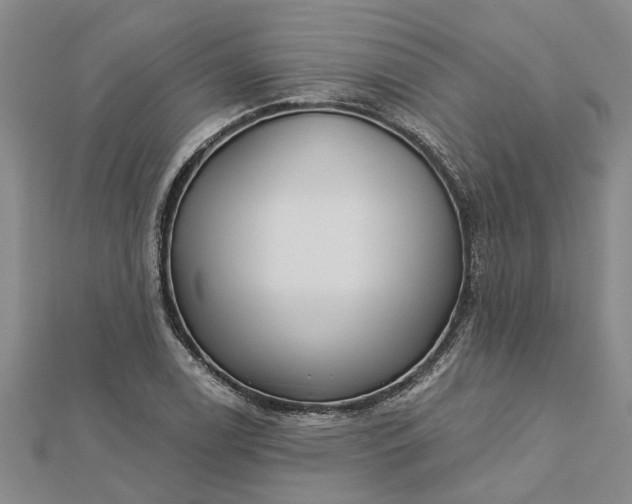 X0000112461122200908311324