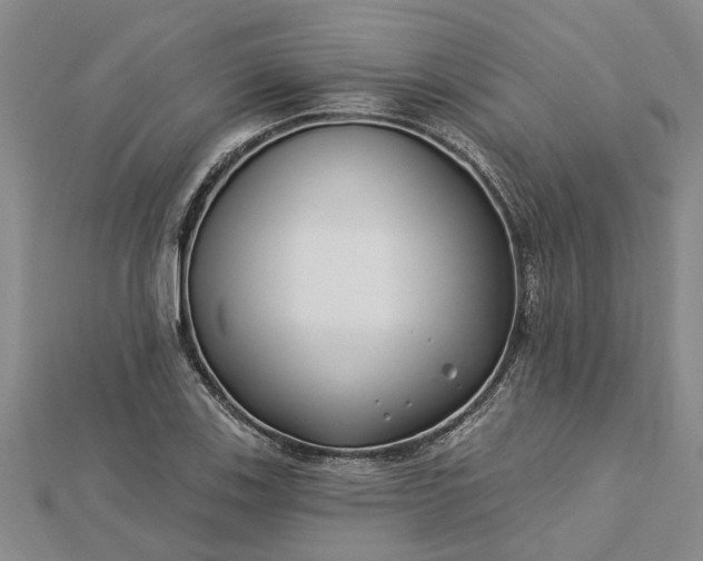 X0000112461123200908311324