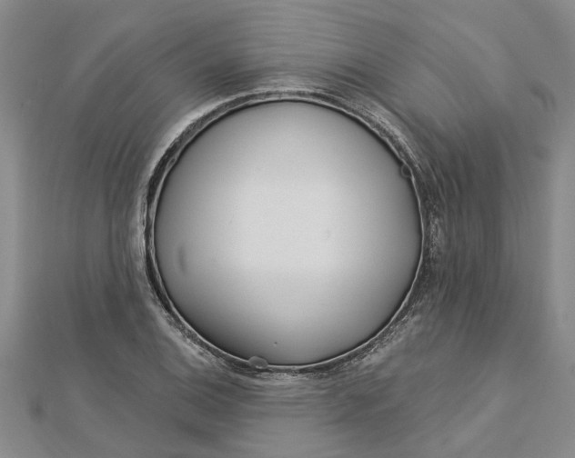 X0000112461124200908311324