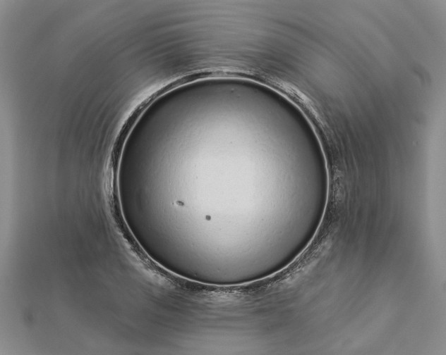 X0000112461125200908311324