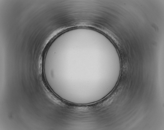 X0000112461126200908311324