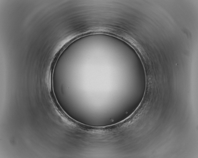 X0000112461127200908311324